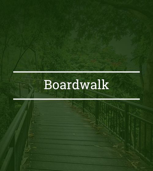 Boardwalk